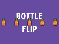 BottleFlip image